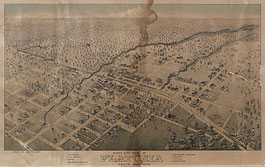 Bird's-eye view of Flatonia in 1881